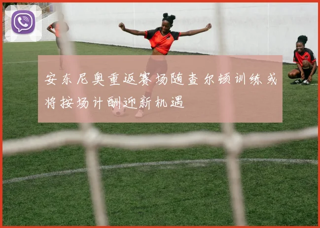 安东尼奥重返赛场随查尔顿训练或将按场计酬迎新机遇