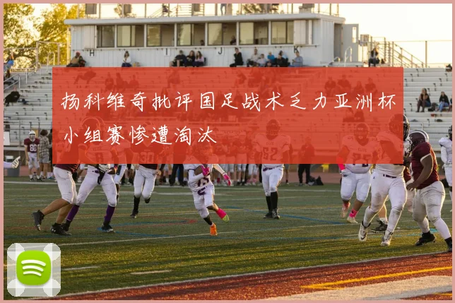 扬科维奇批评国足战术乏力亚洲杯小组赛惨遭淘汰