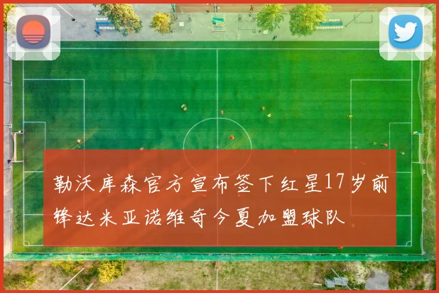 勒沃库森官方宣布签下红星17岁前锋达米亚诺维奇今夏加盟球队